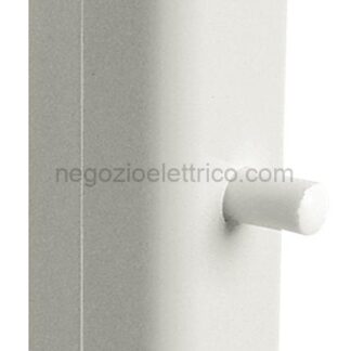 VIW00149.B Interruttore pass.1P 2[32]A mors. bianco