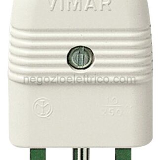 VIW01021.B Spina 2P+T 10A assiale bianco
