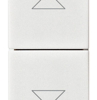 VIW14060 Commutatore 2P 10AX a due tasti bianco