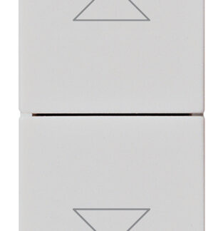 VIW14060.SL Commutatore 2P 10AX a due tasti Silver