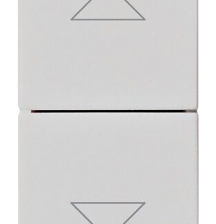 VIW14062.SL Due pulsanti interbl.1P NO+NO10A Silver