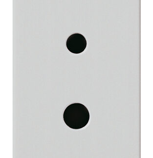 VIW14331.SL Presa polarizzata 2P 6A 24V SELV Silver