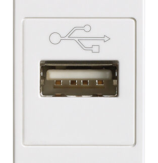 VIW14345 Presa USB bianco