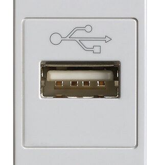 VIW14345.SL Presa USB Silver