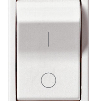 VIW14404.10 Interruttore MT 1P C10 120-230V bianco