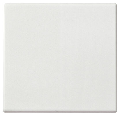 VIW14506.2 Tasto 2M comando radiofrequenza bianco