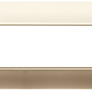 VIW14649.22 Placca 5M BS champagne opaco