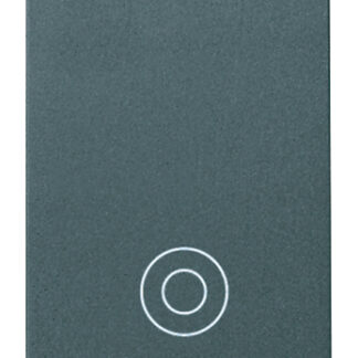 VIW16080 Pulsante 1P NO 10A generico grigio