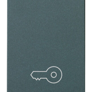 VIW16080.P Pulsante 1P NO 10A chiave grigio