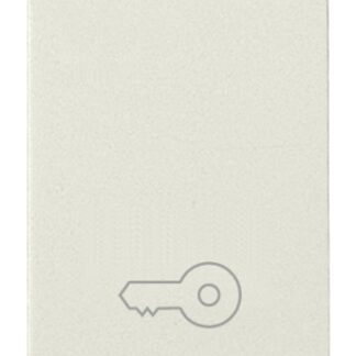 VIW16080.P.B Pulsante 1P NO 10A chiave bianco
