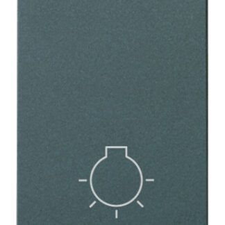 VIW16081 Pulsante 1P NO 10A luce grigio