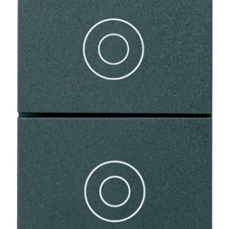 VIW16121 Due pulsanti 1P NO 10A grigio