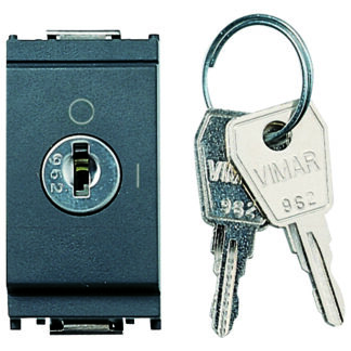 VIW16165 Interruttore 2P 16AX +chiave grigio