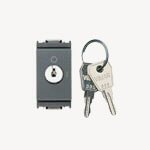 VIW16165.CU Interruttore 2P 16AX +chiave unif.grigio