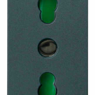 VIW16203 Presa 2P+T 16A P17/11 grigio