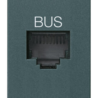 VIW16339 Presa RJ11 speciale per BUS grigio