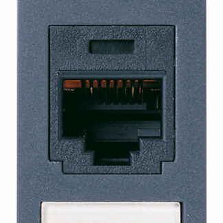 VIW16364.1 Presa RJ45 Panduit Cat5e UTP grigio
