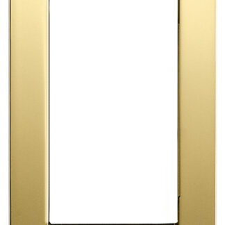 VIW16781.32 Placca Classica 1M pann.oro lucido