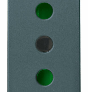 VIW17031 Presa 2P+T 10A P11 grigio