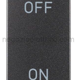 VIW19016 Interruttore 2P 20AX grigio
