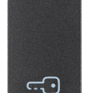 VIW19021.P Tasto 1M simbolo chiave grigio