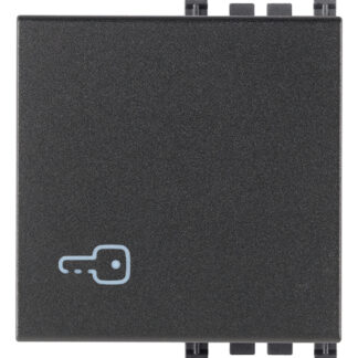 VIW19022.P Tasto 2M simbolo chiave grigio