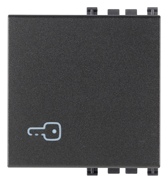 VIW19022.P Tasto 2M simbolo chiave grigio