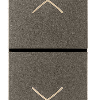 VIW19060.M Commutatore 2P 10AX Metal