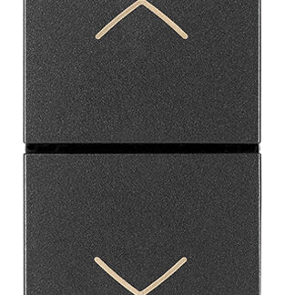 VIW19062 Due pulsanti interblocc.NO+NO 10A grigio