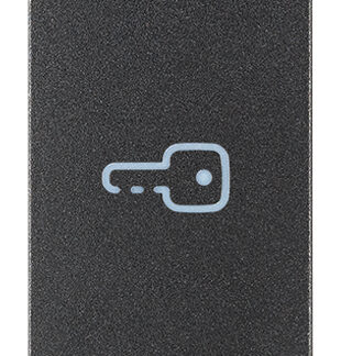 VIW19131.P Tasto 1M simbolo chiave assiale grigio