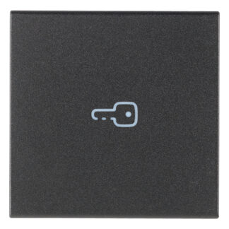 VIW19132.P Tasto 2M simbolo chiave assiale grigio