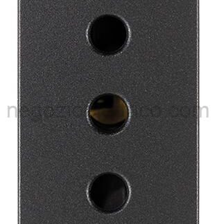 VIW19201.AB Presa 2P+T 10A P11 antibatterico grigio