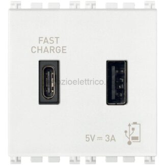 VIW19295.AC.AB.B Alimentatore USB A+C 5V 3A 2M antibatt.b