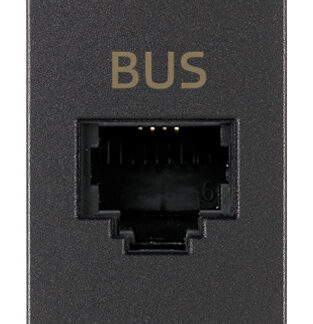 VIW19329 Presa RJ11 speciale per BUS grigio