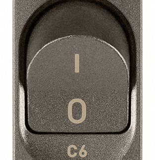 VIW19405.06.M Interruttore MT 1P+N C6 120-230V Metal