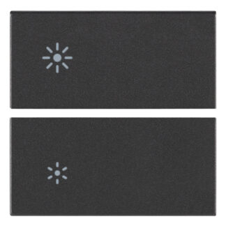 VIW19752.3 Due mezzi tasti 2M regolazione grigio