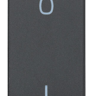 VIW20015 Interruttore 2P 16AX grigio