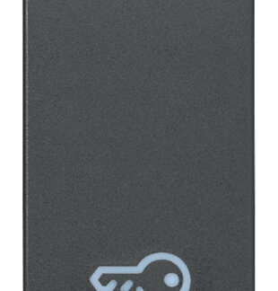 VIW20021.P Tasto 1M simbolo chiave grigio