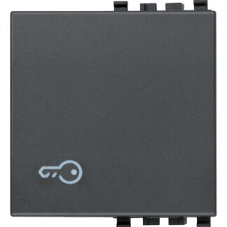 VIW20022.P Tasto 2M simbolo chiave grigio