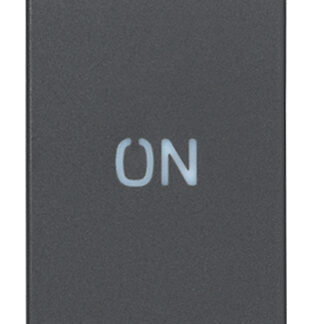 VIW20056.34 Pulsante 1P NO+NC 10A simbolo ON grigio