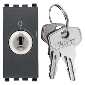 VIW20083 Interruttore 2P 16AX +chiave grigio