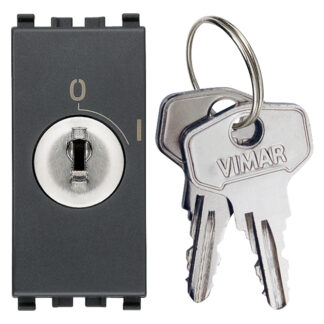 VIW20083.CU Interr. 2P 16AX +chiave unif. grigio