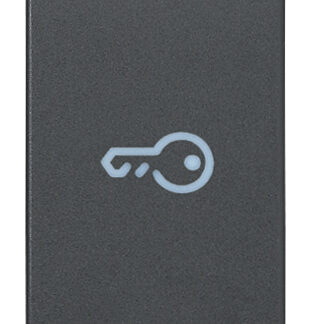 VIW20131.P Tasto 1M simbolo chiave assiale grigio