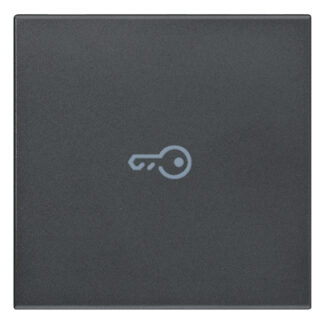 VIW20132.P Tasto 2M simbolo chiave assiale grigio
