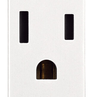 VIW20242.B Presa SICURY 2P+T 15A USA+SASO bianco