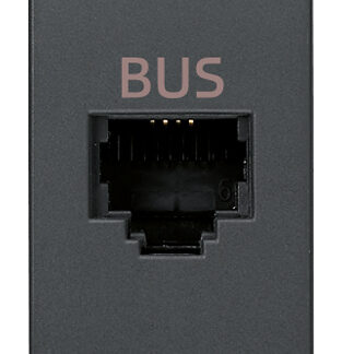 VIW20329 Presa RJ11 speciale per BUS grigio