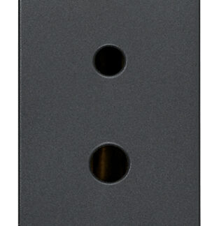 VIW20331 Presa polarizzata 2P 6A 24V SELV grigio