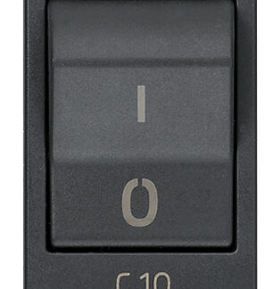 VIW20405.10 Interruttore MT 1P+N C10 120-230V grigio