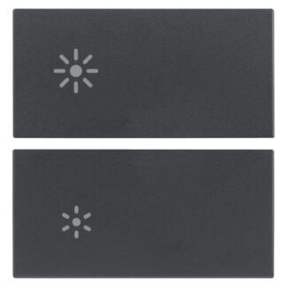 VIW20752.3 Due mezzi tasti 2M regolazione grigio