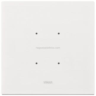 VIW21662.41 Placca 2M glacier ice